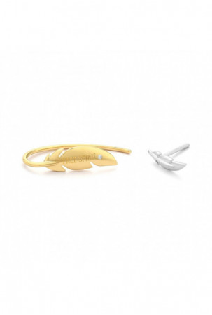 Moteriški auskarai Secrecy...