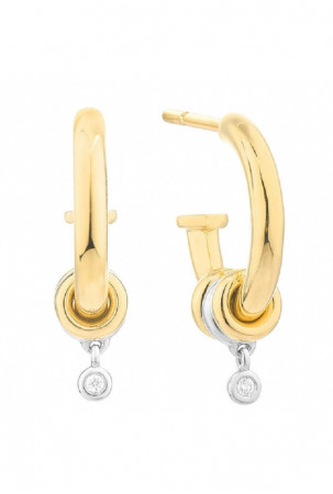 Moteriški auskarai Secrecy...