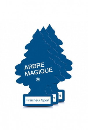 Automobilio oro gaiviklis...