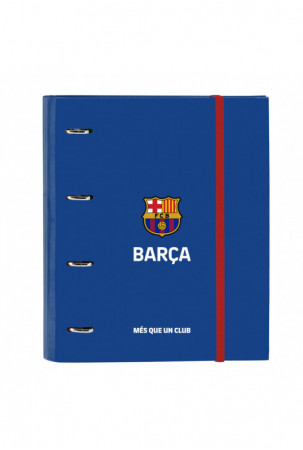 Žiedinis segtuvas F.C....