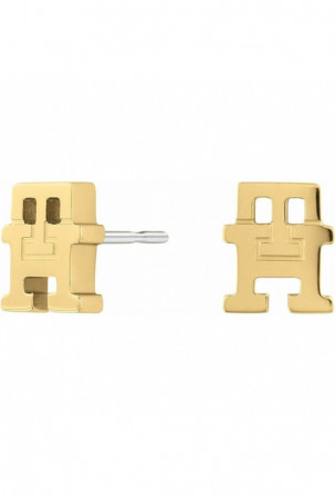 Moteriški auskarai Tommy...