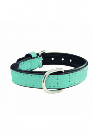 Šuns antkaklis Gloria 30 cm...