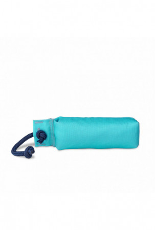 Training toy Coachi...