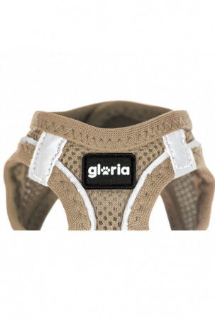 Šuns pakinktai Gloria 45-47...