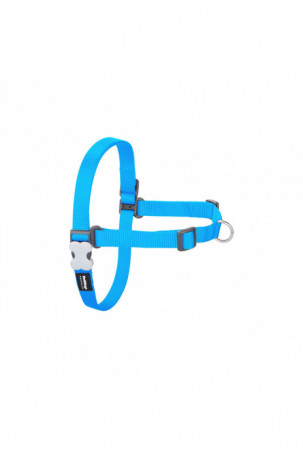 Šuns pakinktai Red Dingo...