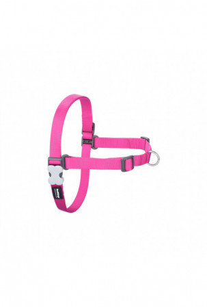 Šuns pakinktai Red Dingo...