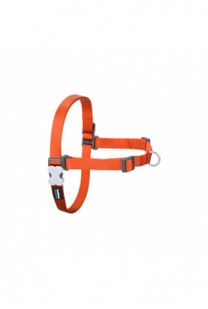 Šuns pakinktai Red Dingo...