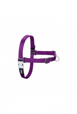 Šuns pakinktai Red Dingo...