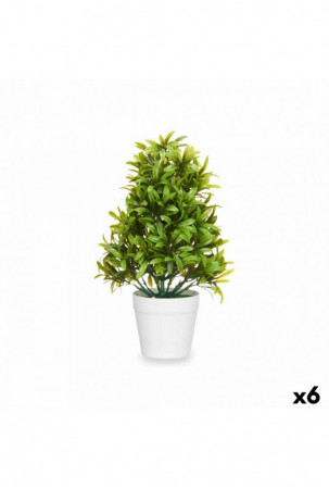 Dekoratyvinis augalas...