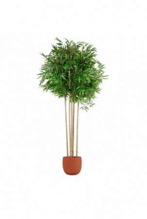 Medis Home ESPRIT...