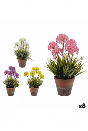 Dekoratyvinis augalas...