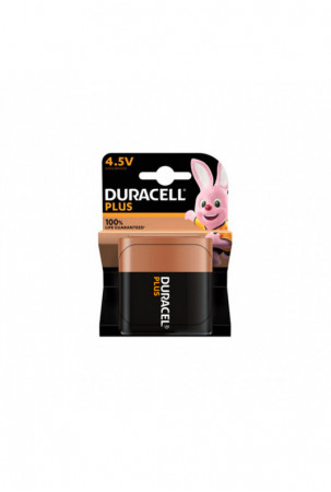 Šarminė baterija DURACELL...
