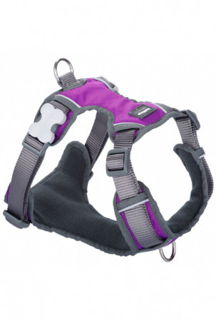 Šuns pakinktai Red Dingo...