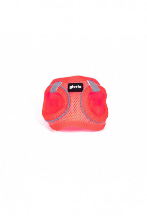 Šuns pakinktai Gloria...