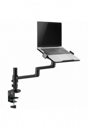 Motininių plokščių,...