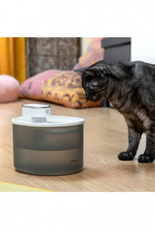 Įkraunamas kačių vandens...