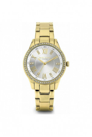 Laikrodis moterims Daisy...