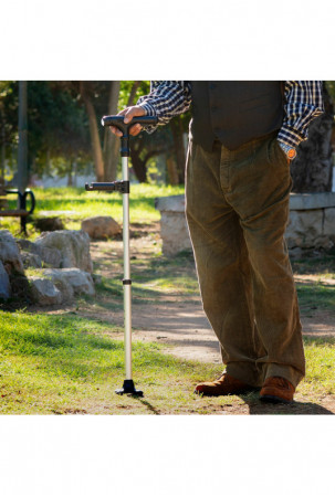 Ištraukiama vaikščiojimo...