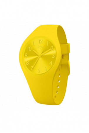 Laikrodis moterims Ice...