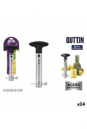 Branduolys Quttin PI¥A