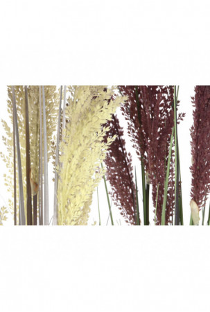 Dekoratyvinis augalas Home...