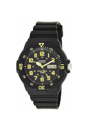 Laikrodis vyrams Casio...