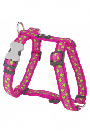 Šuns pakinktai Red Dingo On...