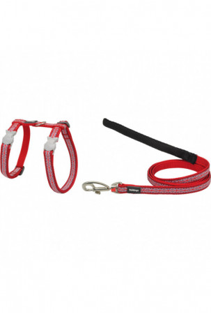 Šuns pakinktai Red Dingo...