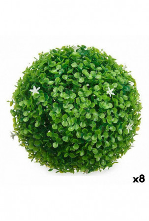 Dekoratyvinis augalas...