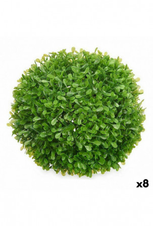 Dekoratyvinis augalas...