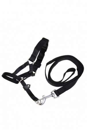 Snukis Gloria Juoda 2