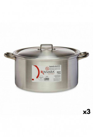 Puodas su dangčiu Sidabras...