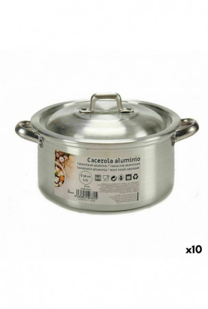 Puodas su dangčiu Sidabras...