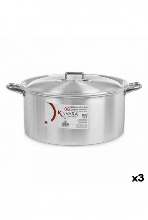 Puodas su dangčiu Sidabras...