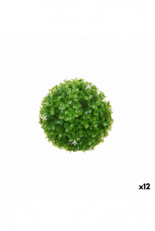 Dekoratyvinis augalas Gėlės...