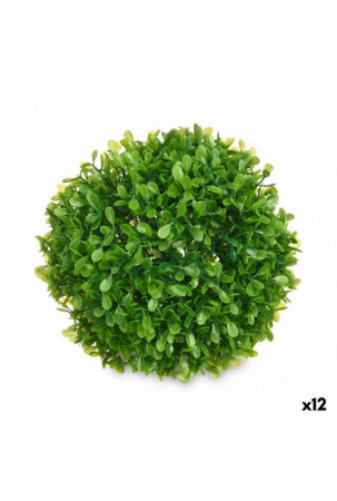 Dekoratyvinis augalas...