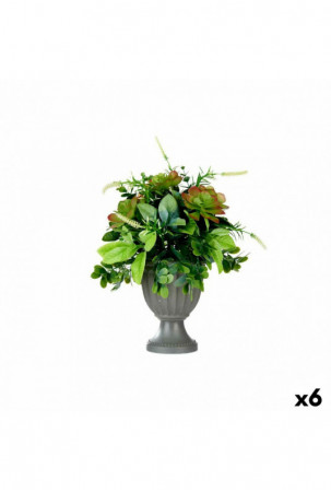 Dekoratyvinis augalas...