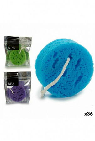 Kūno kempinė Apskritas...