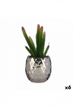 Dekoratyvinis augalas...