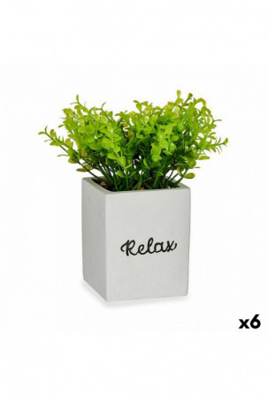 Dekoratyvinis augalas...