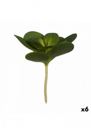 Dekoratyvinis augalas...