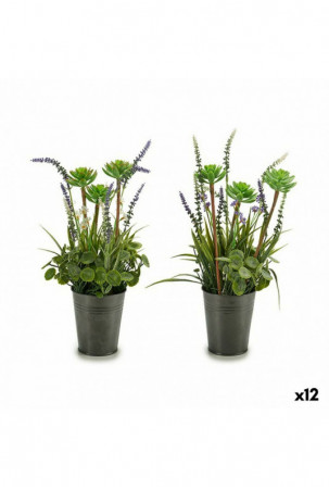 Dekoratyvinis augalas...