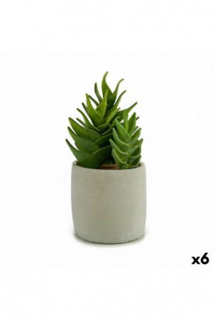 Dekoratyvinis augalas...