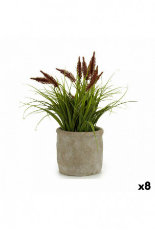 Dekoratyvinis augalas...