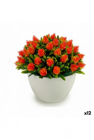 Dekoratyvinis augalas Gėlės...