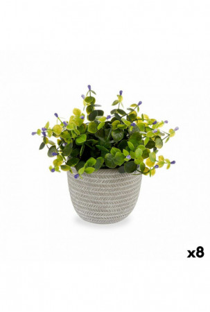 Dekoratyvinis augalas Gėlės...