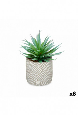 Dekoratyvinis augalas...