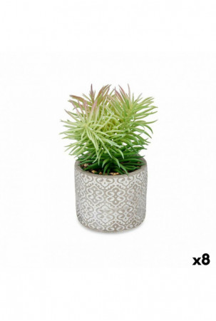 Dekoratyvinis augalas...