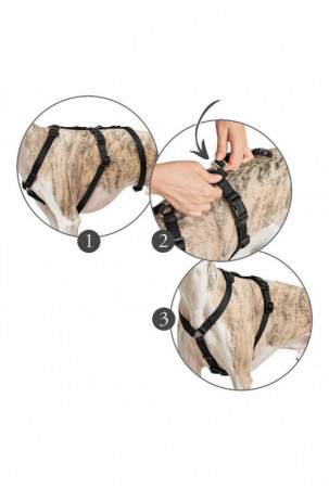 Šuns pakinktai Hunter 38-52...