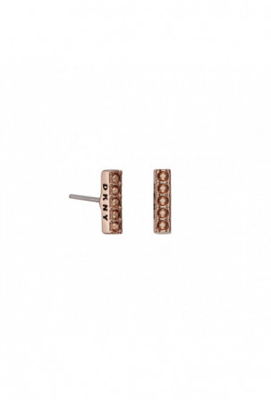 Moteriški auskarai DKNY...